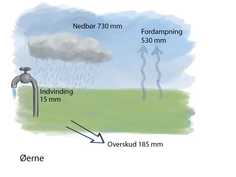Tegning, der viser forskel på nedbør og fordampning på Sjælland